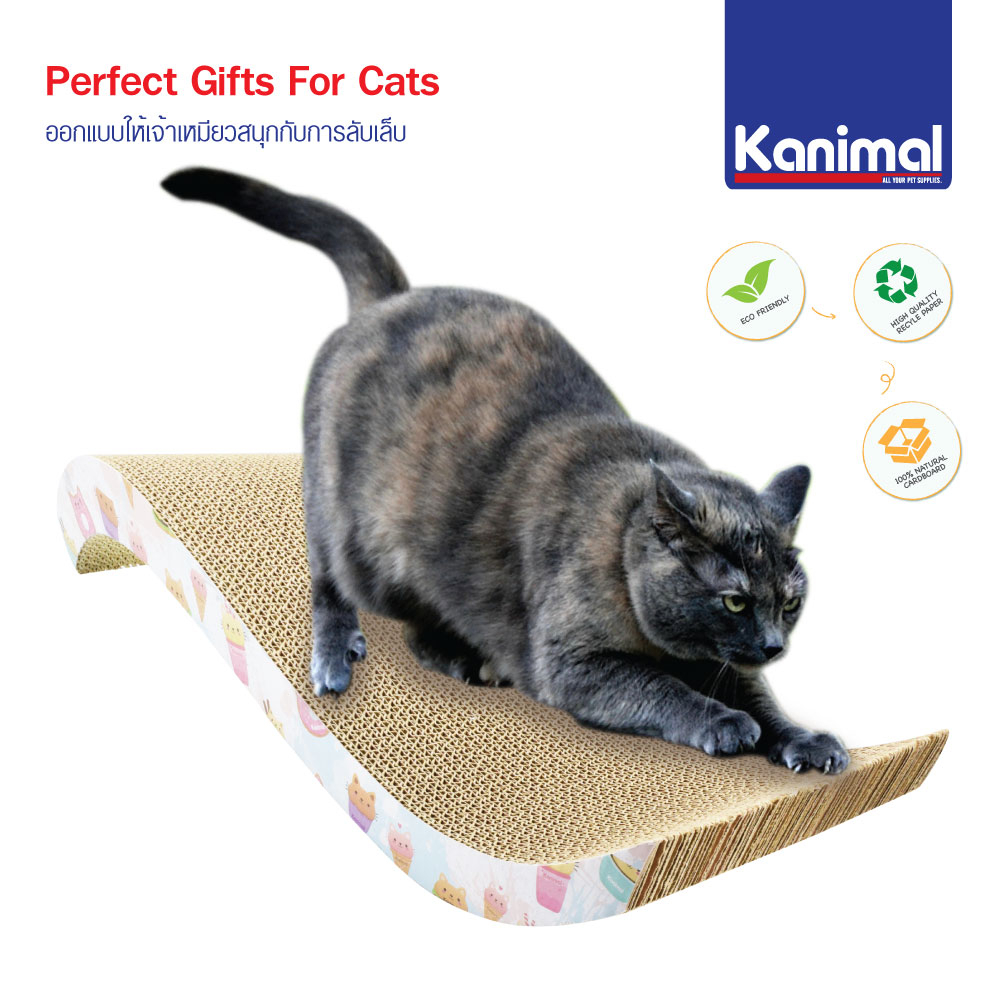 [CS-1010] Kanimal Cat Toy ของเล่นแมว ที่ข่วนเล็บแมว รุ่น Surf คลื่นใหญ่ Size L ขนาด 53.5x21x10 ซม. แถมฟรี! Catnip