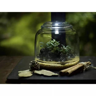 Bioloark Mini Bottle Terrarium โหลแก้ว จัดสวนขวด