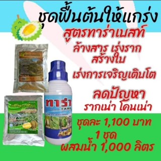 ชุดฟื้นต้นทุเรียนให้แกร่ง