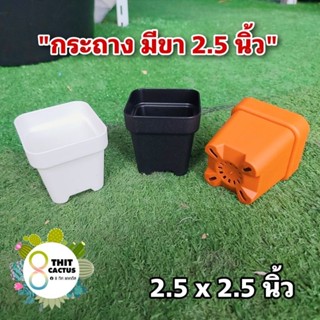 กระถาง สี่เหลี่ยม มีขา 2.5 นิ้ว // กด 12 ใบ 50 บาท -- 2.5 นิ้ว กระถางยกขา แคคตัส กระบองเพชร พลาสติก