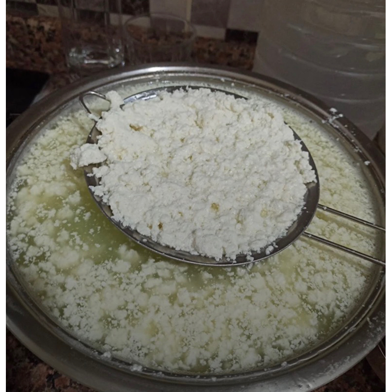 จุลินทรีย์ Rennet 100 gr / Süper maya Turkey ( 1 ช้อนชา : นม 5 Lt ) - รูปที่ 3