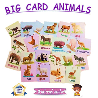 Big card สัตว์ป่ามหาสนุก แฟลชการ์ด Flash Card Animal การ์ดคำศัพท์พื้นฐาน บัตรคำ เสริมพัฒนาการ  flashcard สัตว์น่ารัก