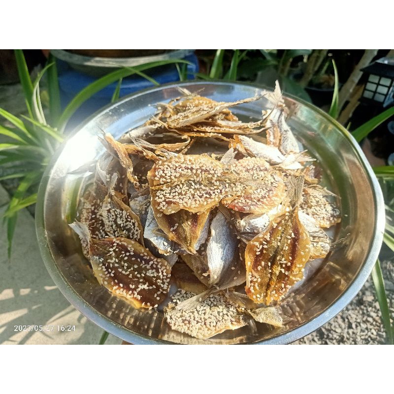 ปลาสีกุน ,ปลาข้างเหลืองโรยงา ,ไม่งา