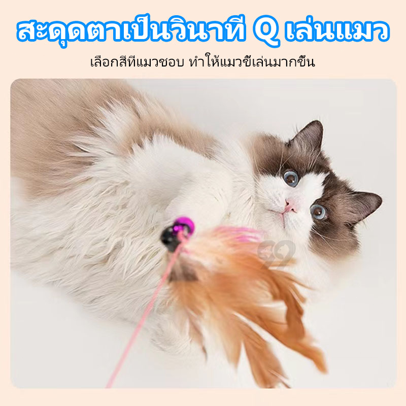 99PET ของเล่นแมว ไม้ตกแมว ไม้ล่อแมว ของเล่นแมวถูกๆ ไม้แมว ของเล่นน้องแมว สหลากหลายรูปแบบ ไม้ตกแมวแบบสปริง ไม้ล่อแมว