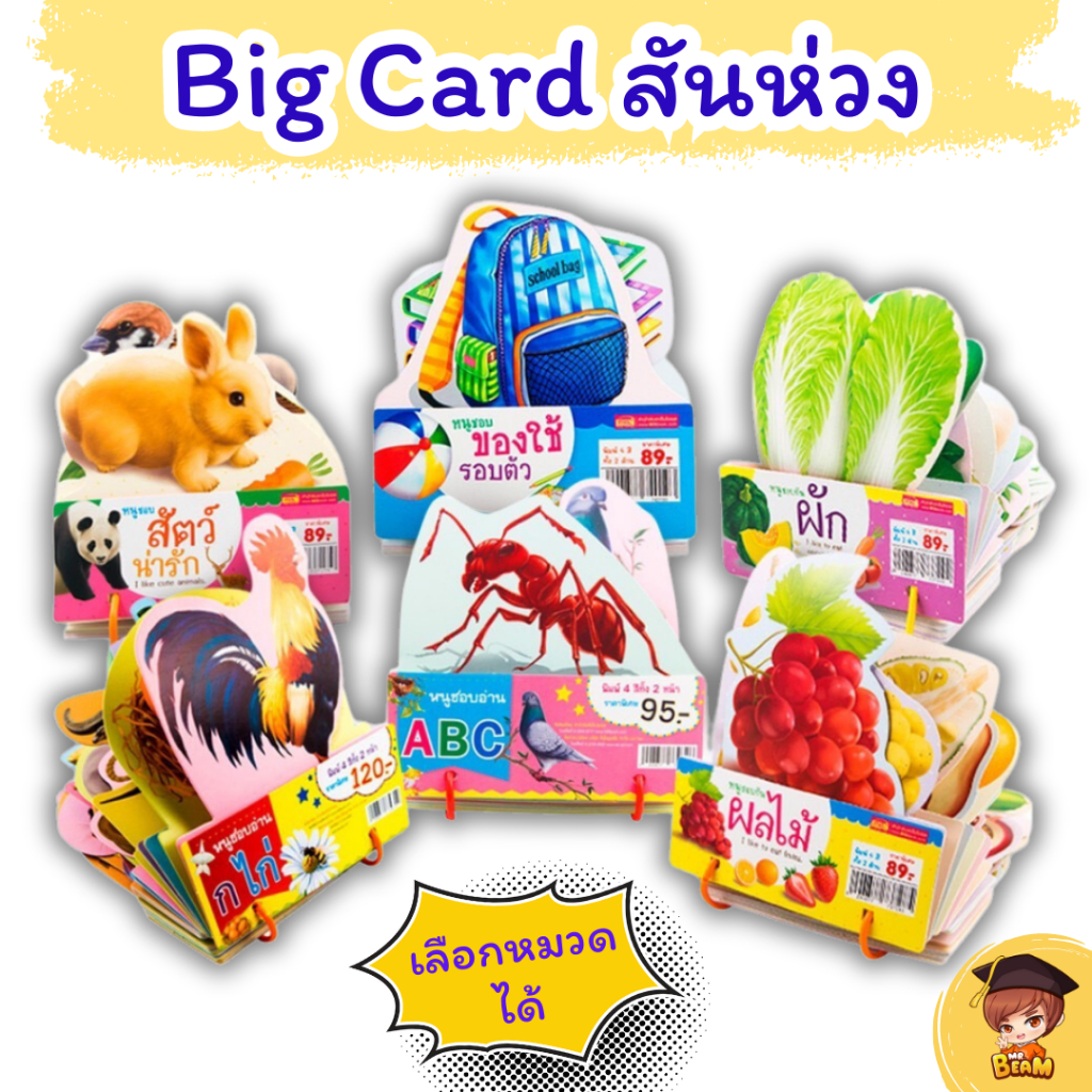 Big card สันห่ลชกาวง แฟร์ด 6 หมวด บัตรคำศัพท์มีห่วงเก็บง่ายมวดภาพเหมือนจริง ไดคัทสวยงาม by Mr.Beam