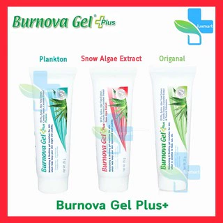 Burnova Gel Plus เจล ว่านหางจระเข้ 25,70 กรัม ทุกสี [1 หลอด] บำรุงผิว AA 21XX