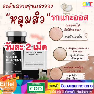 รกแกะ แบ่งขาย 10 แคปซูล ออสเตรเลีย SHEEP PLACENTA  ส่งฟรี เห็นผลไว