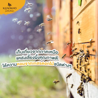 เขาค้อ ซีเล็คชั่น น้ำผึ้งแท้ 100% น้ำผึ้งไม่เติมน้ำตาล น้ำผึ้งรสดอกไม้ป่า