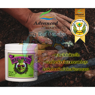 ปุ๋ยหลักทำดอกผง Big Bud Powder 130กรัม บรรจุภัณฑ์แท้