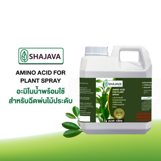 SHAJAVA  อะมิโนน้ำพร้อมใช้ สำหรับฉีดพ่นไม้ประดับ ปริมาณ 1 ลิตร  ใช้ได้กับพืชทุกชนิด ใบเขียว ต้นไม้