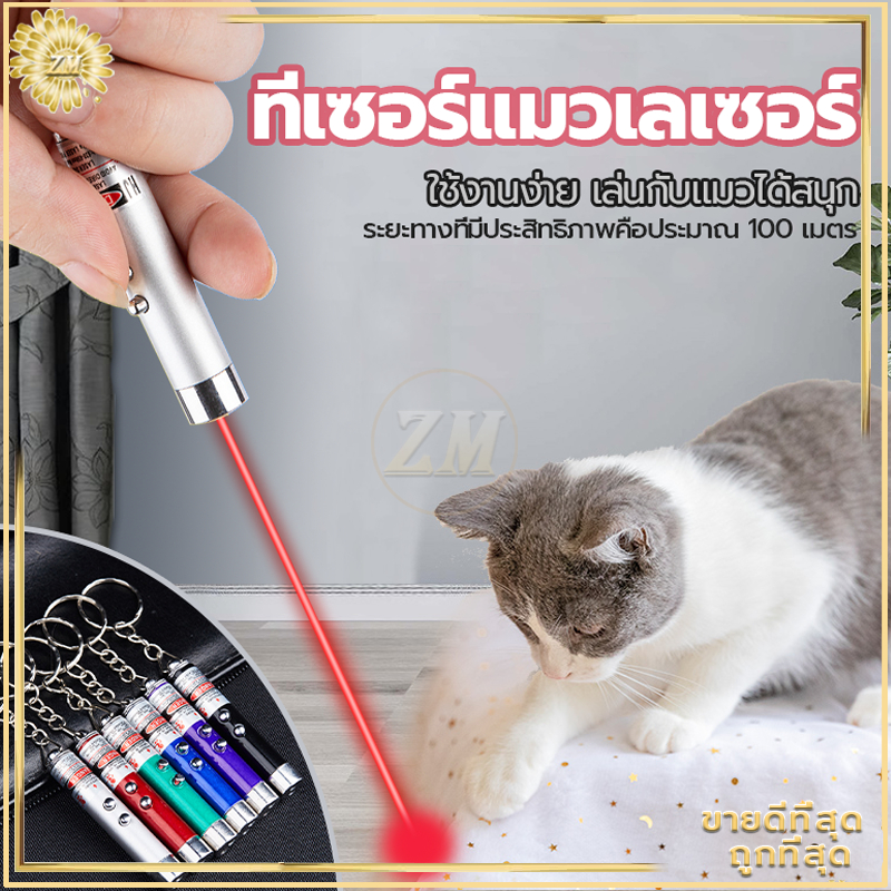 เลเซอร์แมว 2in1 ไฟฉายและเลเซอร์/ไม้ตกแมว ของเล่นแมว ลูกบอลแมว ของใช้แมว ของเล่นที่น้องแมวชอบมาก คละสี ลำแสงชัดส่องได้ไกล