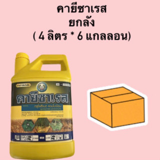 คายีซาเรส ยกลัง (4 ลิตร * 6 แกลลอน) กลูโฟซิเนต-แอมโมเนียม 15% ตราหวีทอง