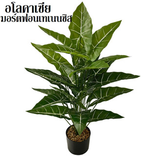 *ส่งจากไทย*ต้นไม้ปลอมอโลคาเซียมอร์ตฟอนเทเนนซิส 24 ใบ,18ใบ,12ใบ สูง 86ซม.,75ซม.60ซม.