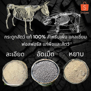 กระดูกสัตว์ป่น (bone meal) แท้ 100% เสริมแคลเซี่ยม ฟอสฟอรัส สำหรับ พืช และ สัตว์