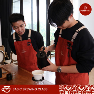 คอร์สเรียนดริปกาแฟ Basic Brewing 1 Day