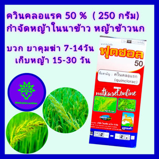 ควินคลอแรก 50% ยาฆ่าหญ้าในนาข้าว ควินคลอแรก ชนิดผง 250 กรัม +ยาจับใบอย่างดี 100 cc กำจัด หญ้าข้าวนก หญ้าลิเก หญ้าพุ่มพวง