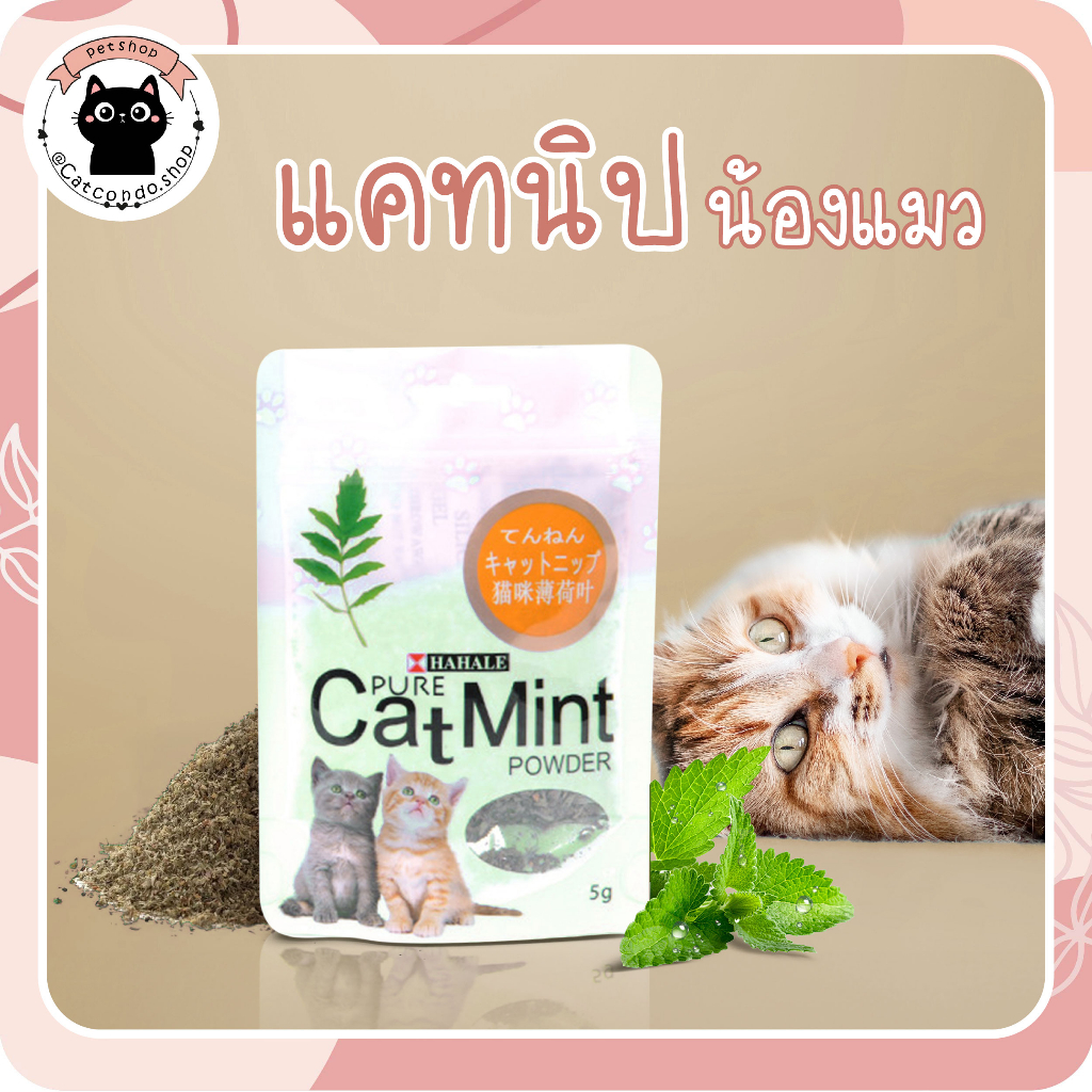 🌵catnip5กรัม กัญชาแมว 5กรัม ของเล่นแมว แบบผง catnipซอง แบบละเอียด catnip🌵