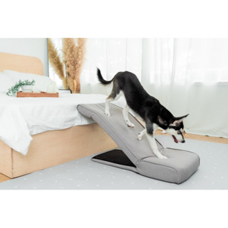 (ใหม่!)Nola บันไดทางลาดเอนกประสงค์สำหรับสุนัข ปรับระดับได้ Adjustable dog ramp (สีเทา)