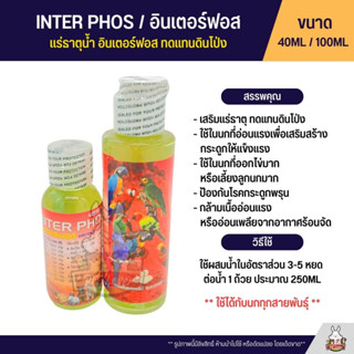 อินเตอร์ฟอส แร่ธาตุน้ำ ทดแทนดินโป่ง INTER PHOS ใช้ได้กับนกทุกสายพันธุ์ (40ML / 100ML)