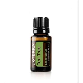 Tea Tree oil ขนาด15 ml