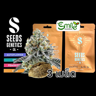 เมล็ดกัญชา Seeds Genetics.Co - Zkittlez (Auto)