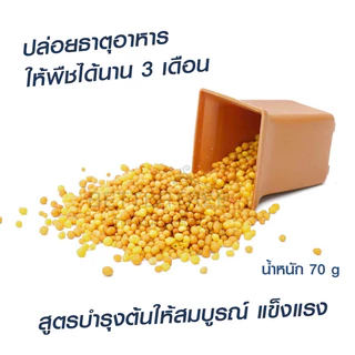 ปุ๋ยออสโมโค้ท ปริมาณ 70 กรัม สูตร 3 เดือน ละลายช้า สูตร 13-13-13 ออสโมโคด ปุ๋ยเหลือง
