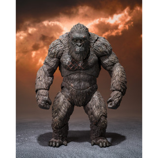 S.H.MonsterArts KONG FROM GODZILLA VS. KONG (2021)  SDCC 4573102634801