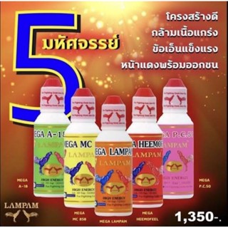 LAMPAM ลำปำ ชุด 5 มหัศจรรย์