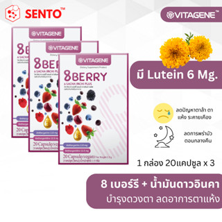 เซ็ท 3 กล่อง วิตาจิเน่ 8เบอร์รี่ &amp; ดาวอินคา พลัส (VITAGENE 8Berry &amp; Sacha Inchi Plus)