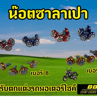 น็อตซาลาเปากัดลาย เบอร์10 เบอร์8 หัว4เเฉก