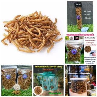 หนอนนกอบแห้ง Dried Weal Worms หนอนนกอบแห้งสำหรับสัตว์เลี้ยง หนอนนก