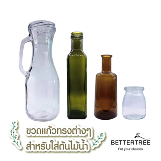 ขวดแก้ว ใส่ต้นไม้เลี้ยงน้ำ แจกันมินอมอล แจกันแก้ว vase