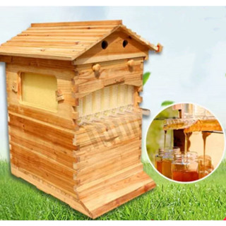 กล่องไม้เลี้ยงผึ้ง ขนาด51*41*26cm Bee Hive กล่องเลี้ยงผึ้ง อุปกรณ์เลี้ยงผึ้ง รังเลี้ยงผึ้งเก็บน้ำผึ้งได้ ✔️พร้อมส่ง