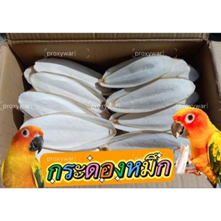 กระดองปลาหมึก(คัดพิเศษ)เอาความเค็มออกแล้ว กลิ่นไม่แรง  ปลอดภ…