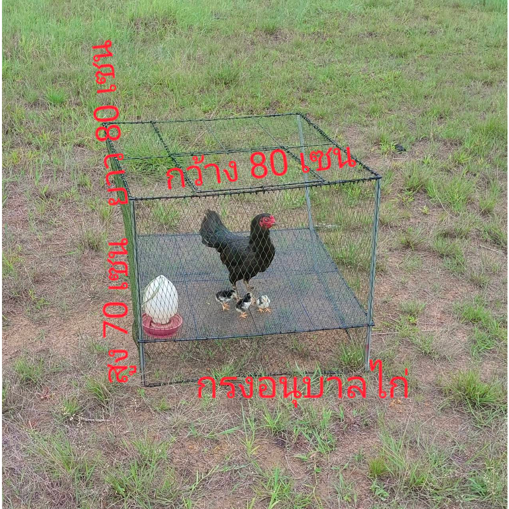 กรงไก่ กรงอนุบาลลูกไก่ กรงเลี้ยงไก่ กรงไก่แจ้ กรงเลี้ยงนก กรงเลี้ยงกระต่าย กรงเลี้ยงสัตว์ กว้าง 80 เซน ยาว 8oเซนสูง70เซน