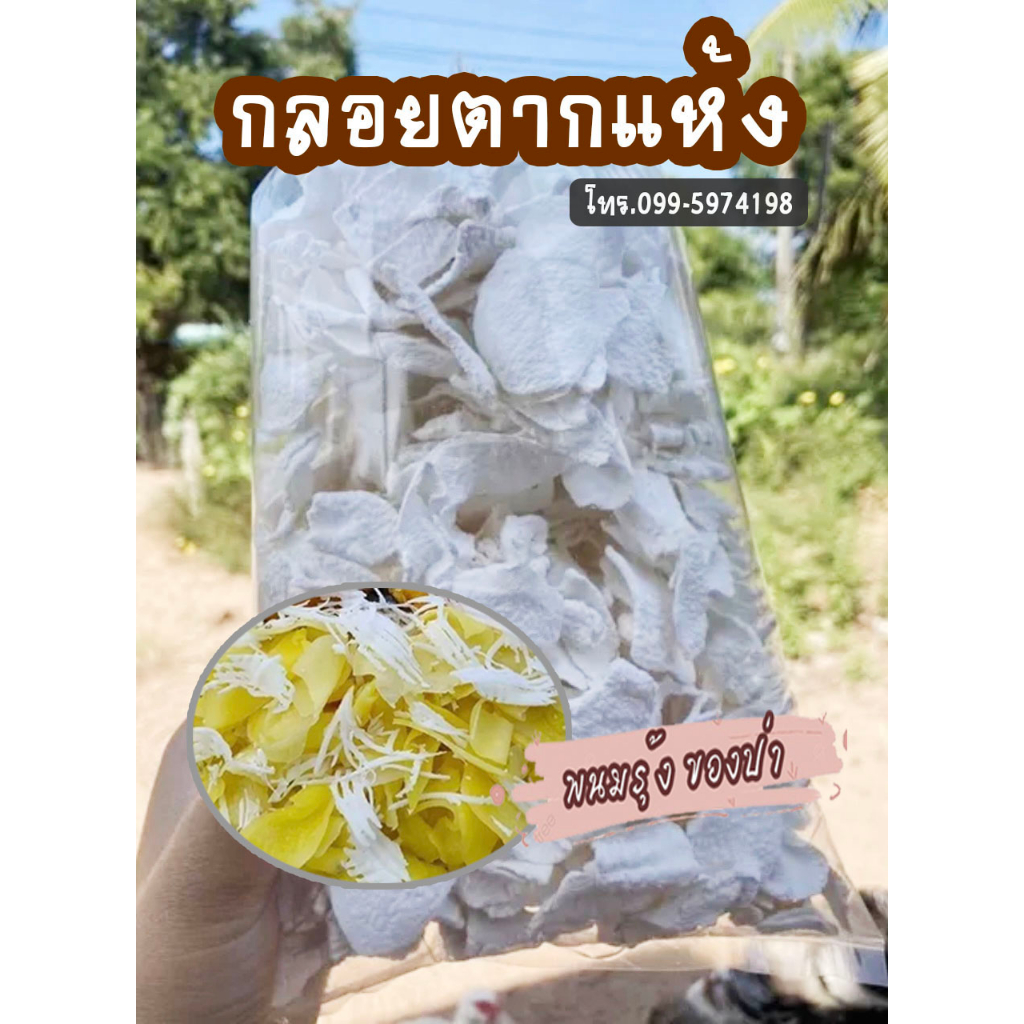 กลอยข้าวเหนียวแท้ สด สะอาด ปลอดภัย100% ของหาทานยาก อร่อยจัดส่งทั่วไทย