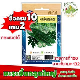 (ซื้อ10แถม2) เมล็ดพันธุ์ มะระขี้นก ลูกใหญ่ Bitter gourd ประมาณ 12เมล็ด เจียไต๋ เมล็ดพันธุ์พืช เมล็ดพันธุ์ผัก เมล็ดผัก