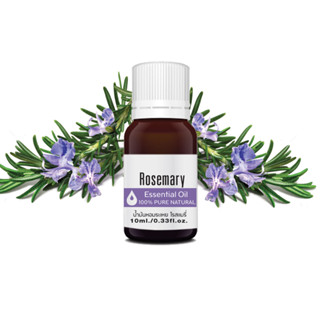 โรสแมรี่ เอสเซ็นเชียล ออยล์ นํ้ามันหอมระเหย บริสุทธิ์100% ขนาด 10กรัม Rosemary Essential Oil