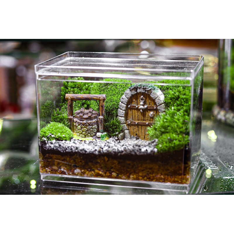 มาใหม่!! 🦚 HOBBIT HOUSE GARDEN 🦚 สวนฮอบบิททรงเหลี่ยม Fairy Tale แฟร์รี่ Fancy แฟนซี