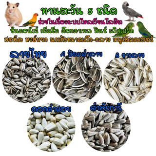 ทานตะวันดำ เม็ดเล็ก Black Sunflower Seeds เกรต AAA สำหรับนกแก้วทุกสายพันธุ์ และสัตว์ฟันแทะ แบ่งขาย 500-1000กรัม