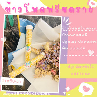 ข้าวโพดฟรีชดราย สำหรับนก 10g