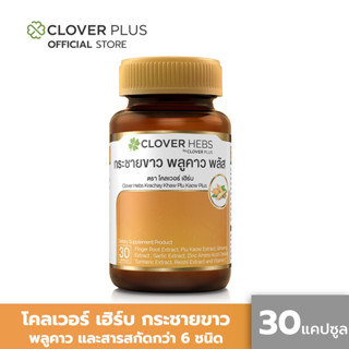 Clover Hebs By Clover Plus โคลเวอร์เฮิร์บ อาหารเสริมสมุนไพร สารสกัดจากกระชายขาว พลูคาว โสม กระเทียมดูแลสุขภาพ(30 แคปซูล)