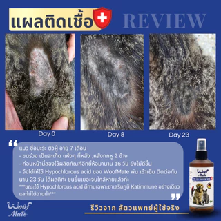 WoofMate สเปรย์ดูแลแผลสัตว์ 1000ml | สัตวแพทย์แนะนำ | หมา แมว กระต่าย | เชื้อรา คัน ยีสต์ แผลต่างๆ