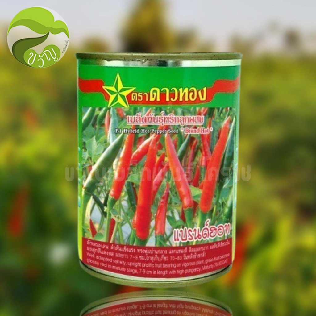 แบรนฮอท พริกลูกผสมตราดาวทอง ลอตใหม่ ล่าสุด