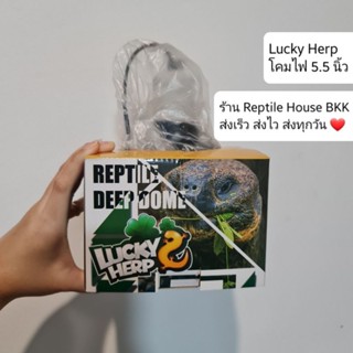 โคมไฟสัตว์เลี้ยง ขนาด 5.5 นิ้ว Lucky Herp