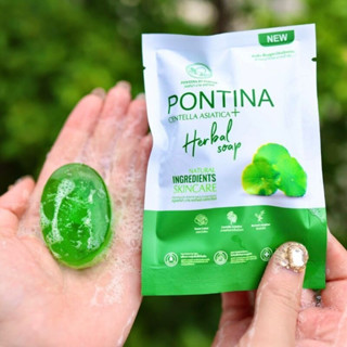 สบู่พรทิน่า สบู่ล้างหน้าใบบัวบก Pontina soap