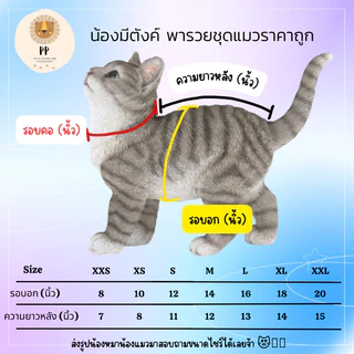 เสื้อเชิ้ตหลุยส์สัตว์เลี้ยง สีดำทอง/ขาวทอง รหัสสินค้า B36 -B37