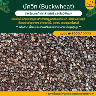 บัควีท Buckwheat อาหารนก และสัตว์ฟันแทะ ร่อนฝุ่น สะอาด เกรดA  (แบ่งขาย 250G / 500G)