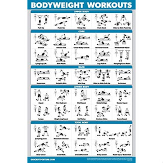 QuickFit : QKFAMZ001* โปสเตอร์ QuickFit Exercise Workout Poster Set