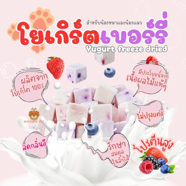 ขนมสัตว์เลี้ยง โยเกิร์ตฟรีซดราย